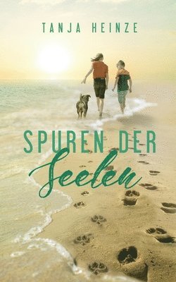 bokomslag Spuren der Seelen