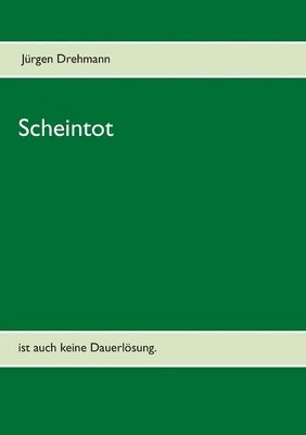 bokomslag Scheintot
