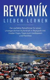 bokomslag Reykjavík lieben lernen