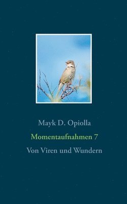 Momentaufnahmen 7 1