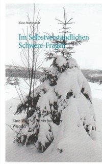 bokomslag Im Selbstverständlichen Schwere-Fragen