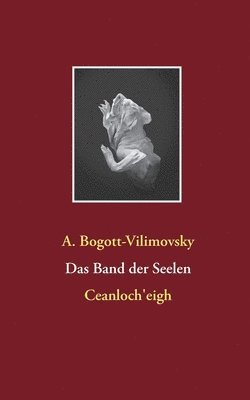 bokomslag Band der Seelen