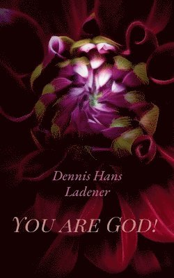Dennis Hans Ladener - Philosophy made in Germany, Häftad