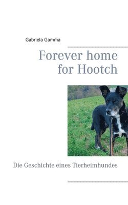 Forever home for Hootch 1