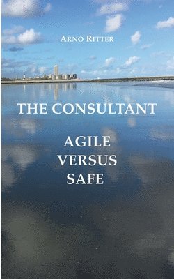 The Consultant 1