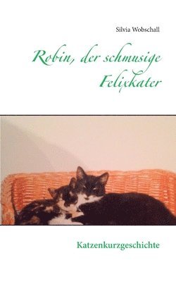 bokomslag Robin, der schmusige Felixkater