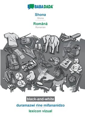 bokomslag Shona - Român?, duramazwi rine mifananidzo, BW