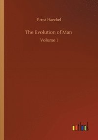bokomslag Evolution of Man