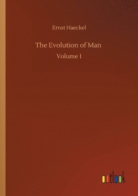 Ernst Haeckel - Evolution of Man, Häftad