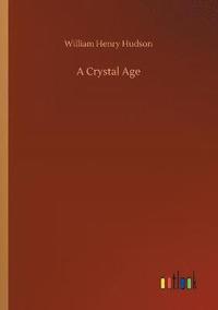 bokomslag Crystal Age