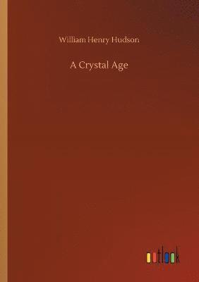 bokomslag Crystal Age
