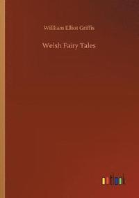 bokomslag Welsh Fairy Tales