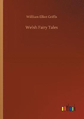 bokomslag Welsh Fairy Tales