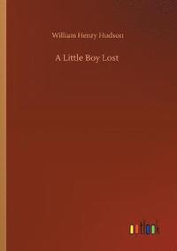 bokomslag A Little Boy Lost