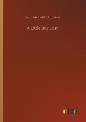 A Little Boy Lost 1