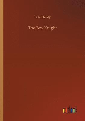 bokomslag The Boy Knight