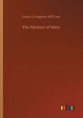 bokomslag The Mystery of Mary