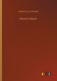 bokomslag Money Island