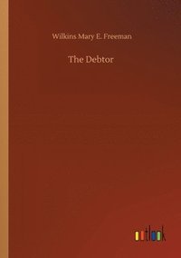 bokomslag Debtor
