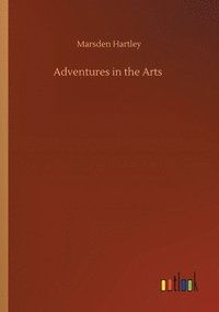 bokomslag Adventures in the Arts