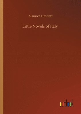 bokomslag Little Novels of Italy