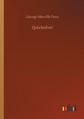 bokomslag Quicksilver