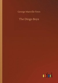 bokomslag Dingo Boys