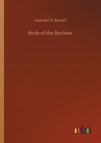 bokomslag Birds of the Rockies