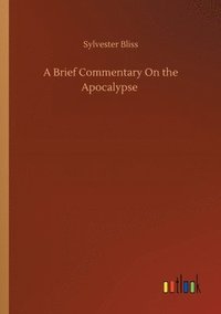 bokomslag A Brief Commentary On the Apocalypse