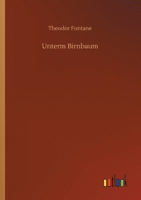 Theodor Fontane - Unterm Birnbaum, Häftad