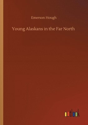 bokomslag Young Alaskans in the Far North