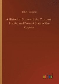 bokomslag Historical Survey of the Customs, Habits, and Present State of the Gypsies