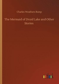 bokomslag The Mermaid of Druid Lake and Other Stories