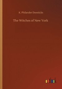 bokomslag The Witches of New York
