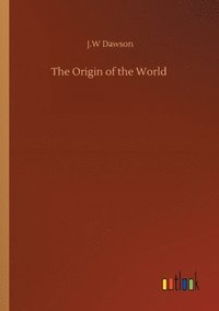 bokomslag The Origin of the World