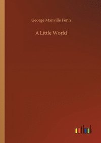 bokomslag Little World