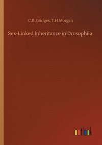 bokomslag Sex-Linked Inheritance in Drosophila