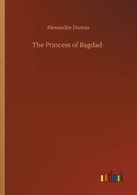 bokomslag The Princess of Bagdad