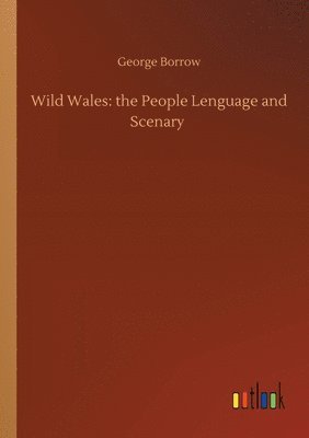 bokomslag Wild Wales
