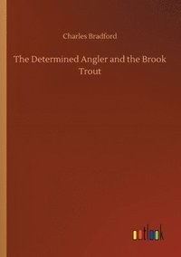 bokomslag Determined Angler and the Brook Trout