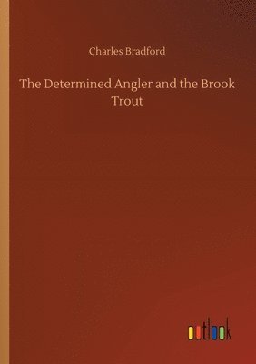 Determined Angler and the Brook Trout