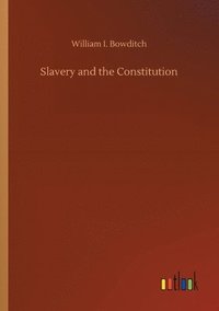 bokomslag Slavery and the Constitution