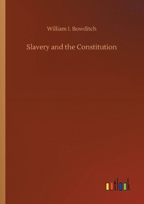 bokomslag Slavery and the Constitution