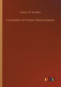 bokomslag Curiosities of Puritan Nomenclature