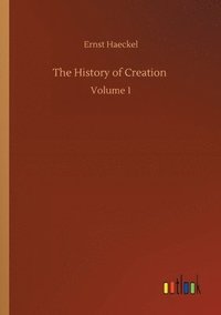 bokomslag The History of Creation