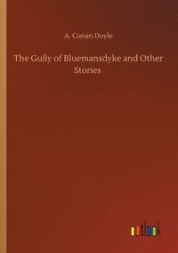 bokomslag Gully of Bluemansdyke and Other Stories