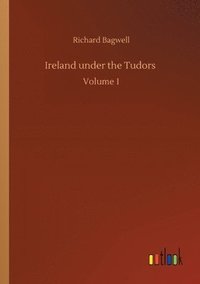 bokomslag Ireland under the Tudors