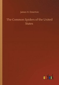 bokomslag The Common Spiders of the United States