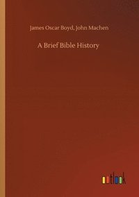 bokomslag Brief Bible History