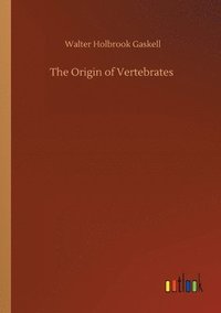 bokomslag The Origin of Vertebrates